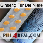 Ginseng Für Die Niere 44